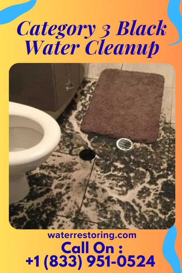 Category 3 Black Water Cleanup in Sharonville, OH