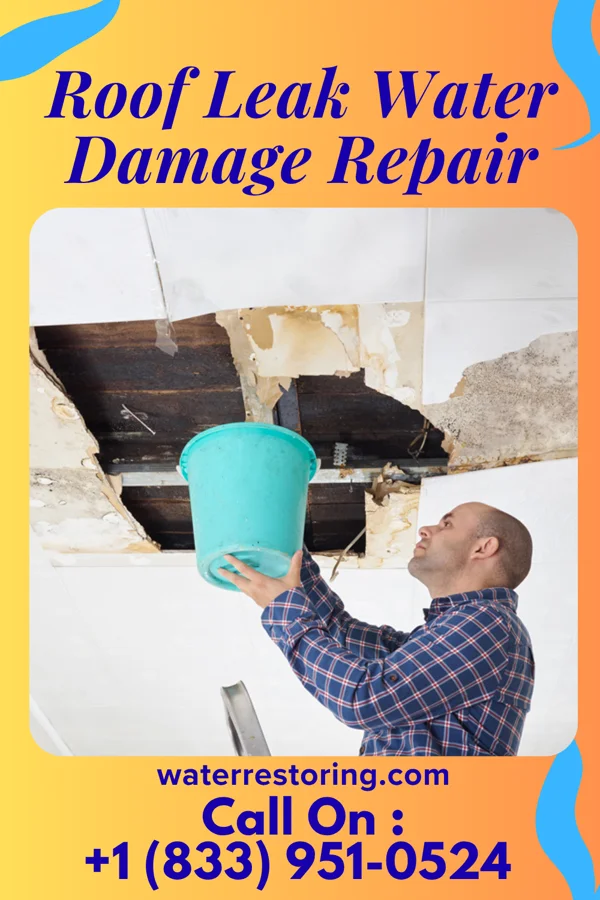 Roof Leak Water Damage Repair in Sharonville, OH