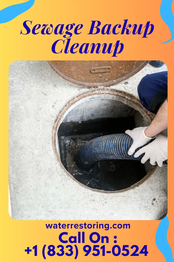 Sewage Backup Cleanup in Sharonville, OH
